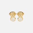 RC Fan Earring Backs